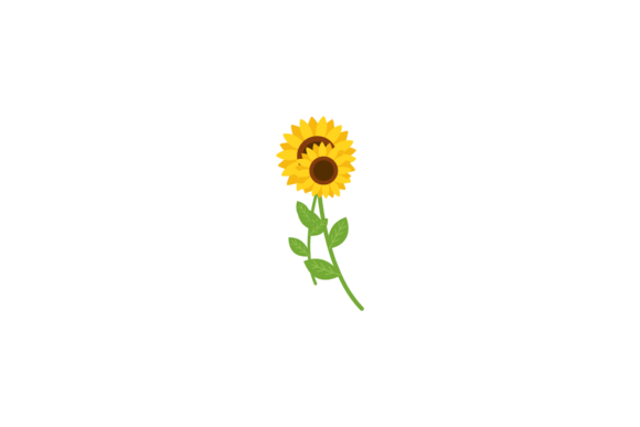 Download Sunflower Field Nature Illustrations - Nature illustrations Collection
