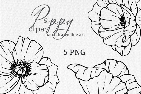 Download Poppy Flowers LINE ART. Poppy CLIPART - Poppy flowers Collection