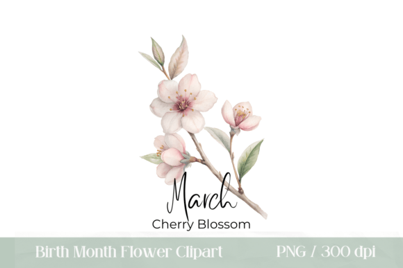 Download Cherry Blossom Birth Flower Clipart - Blossom Collection
