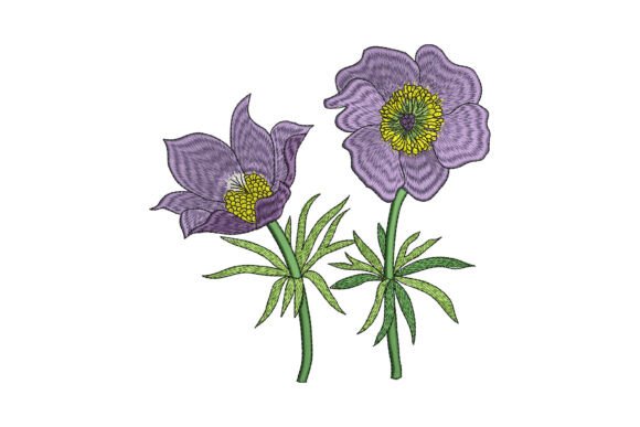 Download Springtime Anemone Pair - Springtime Collection
