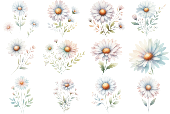 Download 12 Daisy Watercolor Clipart Bundle - Daisy watercolor Collection