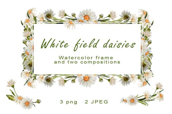 Download Daisy Watercolor Frame Clipart Chamomile - Daisy watercolor Collection