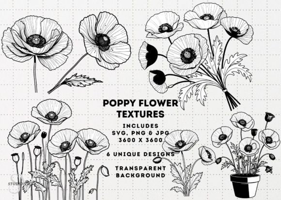Download Poppy Flowers Clipart - SVG, PNG, JPG - Poppy flowers Collection