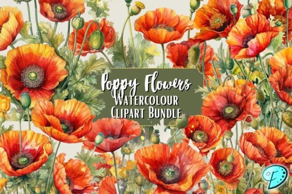 Download Poppy Flowers Watercolour Clipart Bundle - Poppy flowers Collection