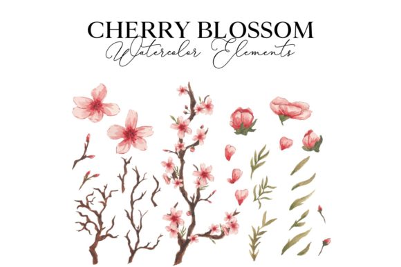 Download Cherry Blossom Watercolor Illustration - Blossom Collection