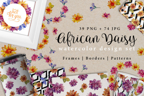 Download African Daisy Watercolor Design Set - Daisy watercolor Collection