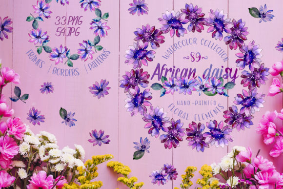 Download African Daisy Watercolor - Premium Resources